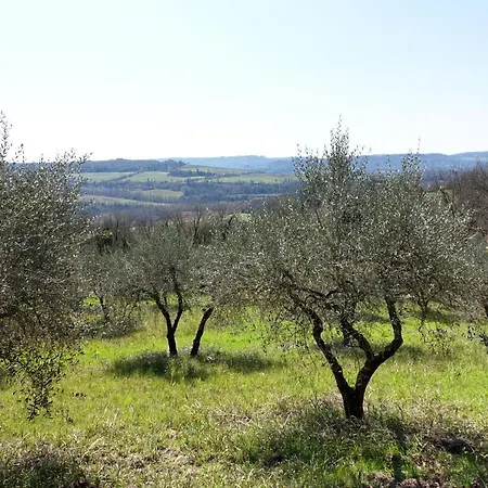 Abbitue In Umbria * Penna in Teverina